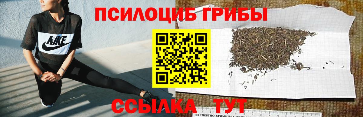 Галлюциногенные грибы ЛСД Похвистнево