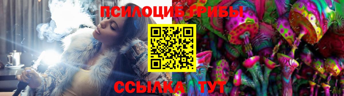 Похвистнево  Псилоцибиновые грибы Cubensis  цена наркотик  Вход с VPN 